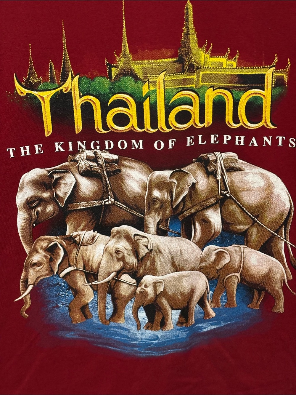 Thailand Elephants Graphic Tee - burgundy